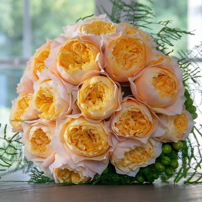 Golden Vuvuzela | Netherlands Florist Shrub Rose | Yellow heart with pink petals | Strong fragrance | Own root