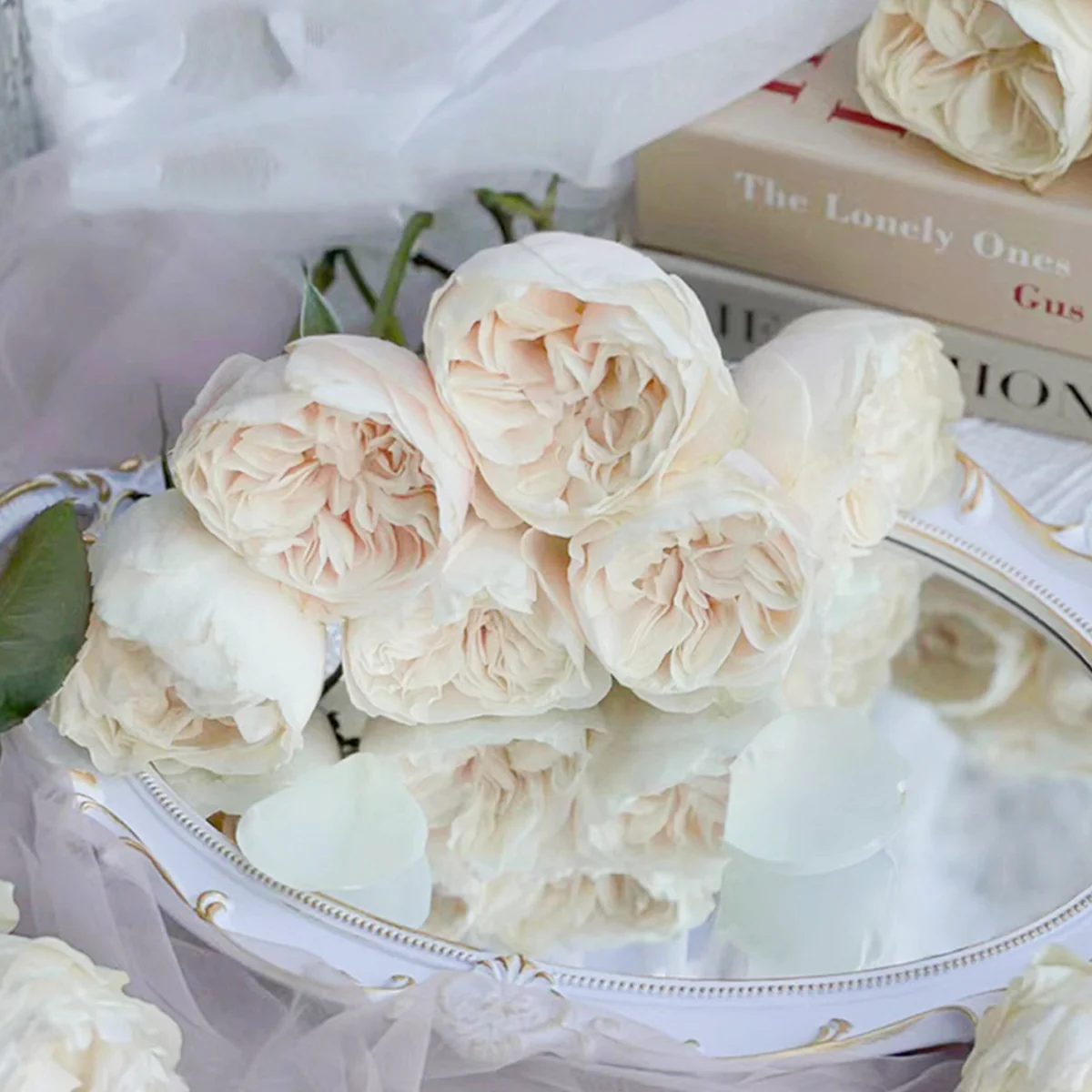 Chiffon | Netherlands Florist Shrub Rose | Nude-cream-blush cupped blooms | Wedding favorite | Own root