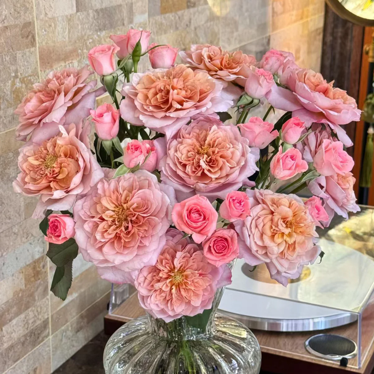 Miyabi Cha | Miyabi Brown | Japanese Florist Shrub Rose | Beige-apricot tones | Elegant form | Own root