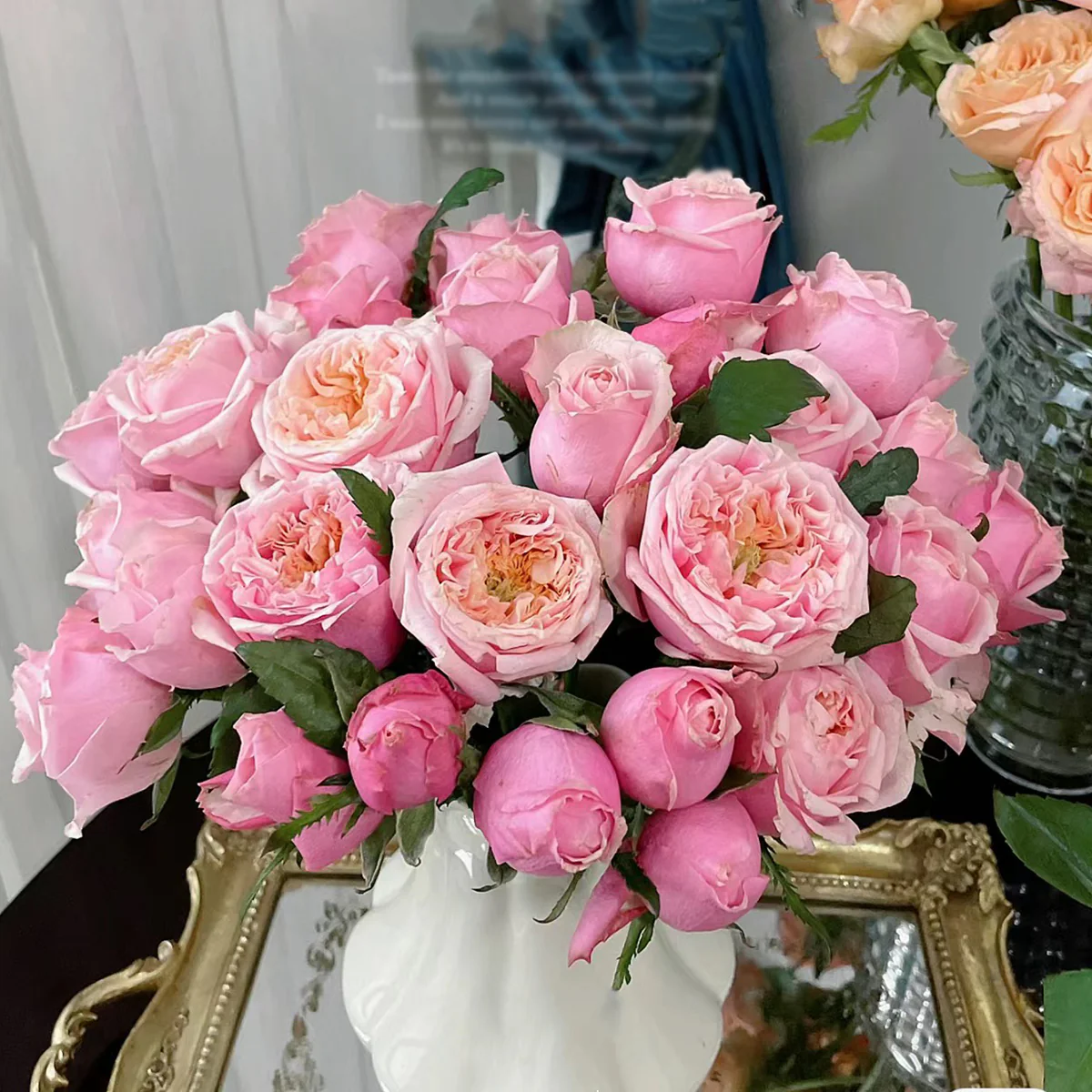 Notting Hill | Netherlands Florist Shrub Rose | Peach-pink cupped blooms | Long vase life | Own root