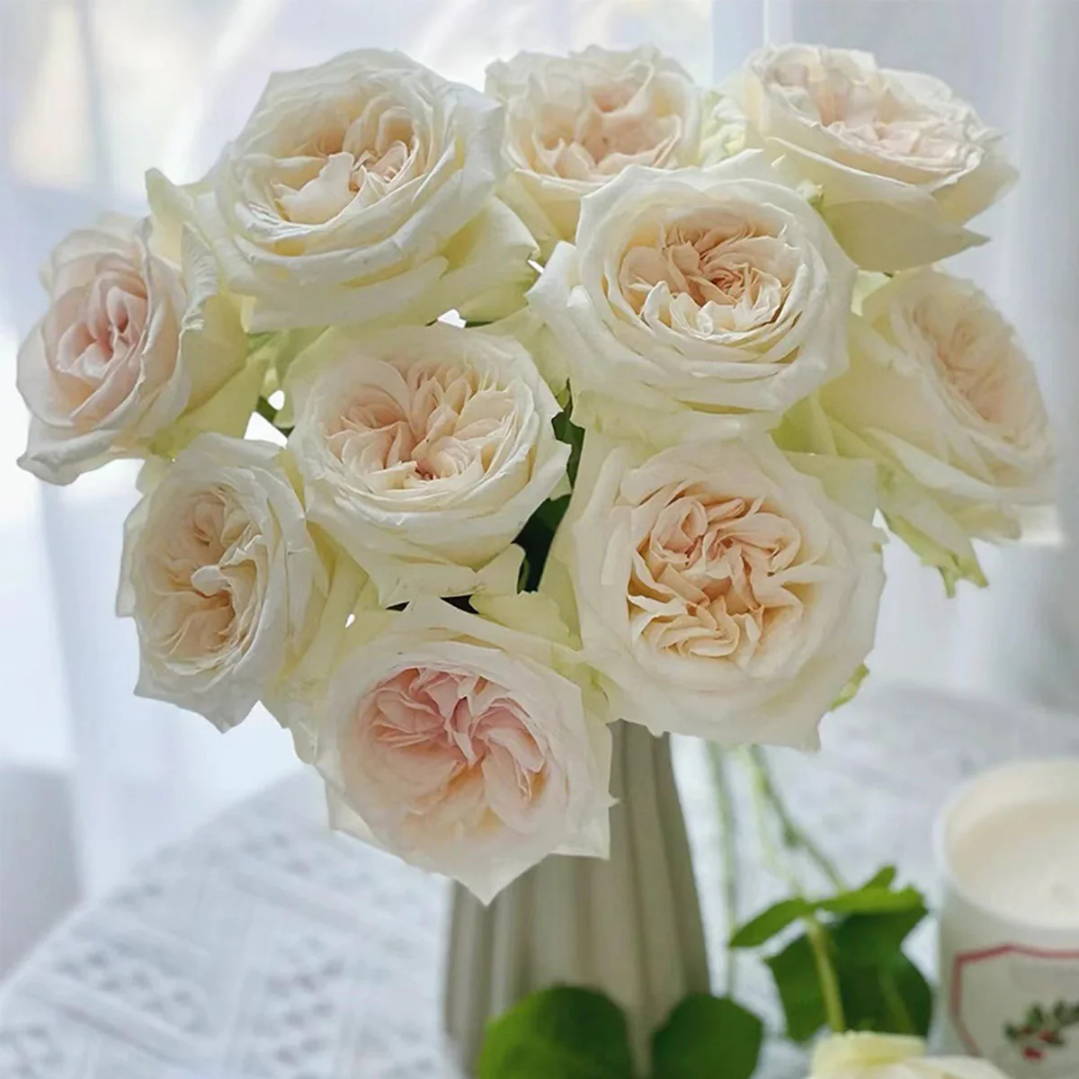 White O’Hara | French Florist Shrub Rose | Long vase life | Strong lavender fragrance | Own root