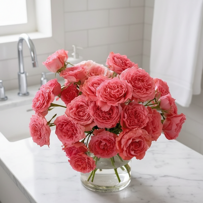 Corail Gelée – Fragrant Coral-Pink Japanese Shrub Rose (Own Root)