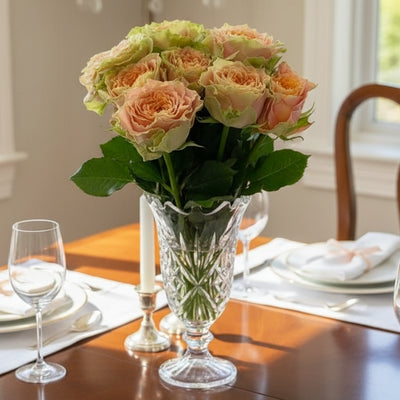 Country Spirit Louise – Apricot-Pink German Florist Rose (Own Root)