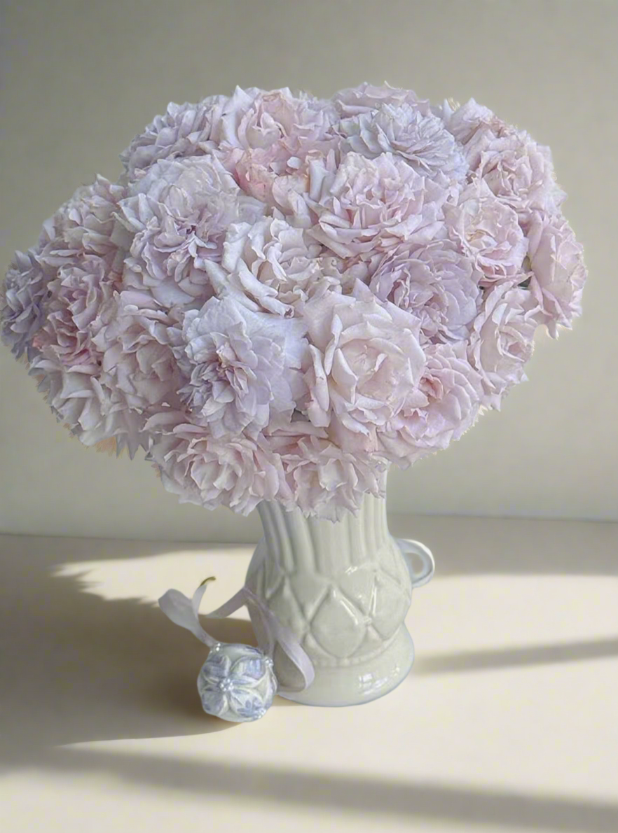 Ji Se – Fragrant Lilac Chinese Shrub Rose (Own Root)
