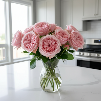 Katherine – Fragrant Pink Dutch Florist Rose (Own Root)