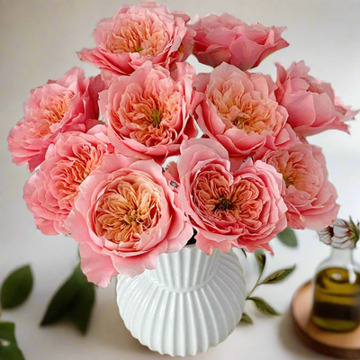 Mikoto – Peach-Pink Japanese Florist Rose (Own Root)