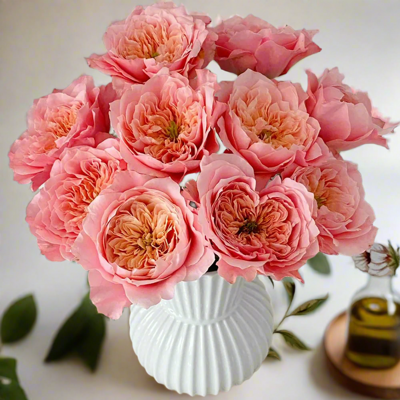 Florist Rose collection, Mikoto – Peach-Pink Japanese Florist Rose (Own Root)
